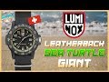 G-Shock Competitor? | Luminox Sea Turtle Giant 100m Quartz w/CARBONOX™ Case Unbox & Review