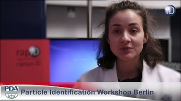 PDA Particle Identification Workshop