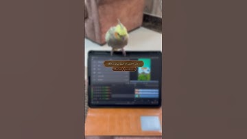 سورة مريم ءِ بلوچی رجانک آیات نمبر 83 - 84 - 85 -86 - 87