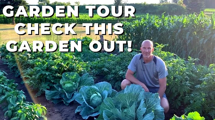 Check This Garden Out! Garden Tour - When A Garden Is Planned Out Well