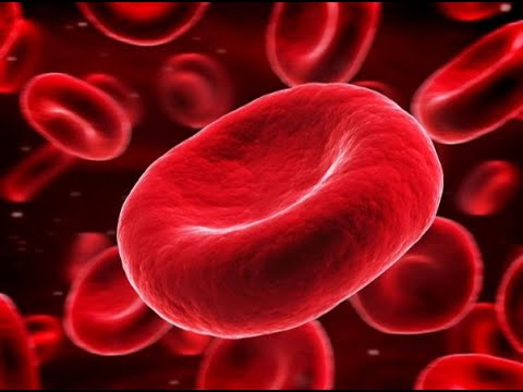 Video: Gli eritrociti hanno il DNA?
