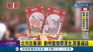 #三立最新 兔年馬上來看小白兔! 動物園發限量開運金.福袋 初一9點開園湧人潮│記者 夏邦明│【LIVE大現場】20230122│三立新聞台