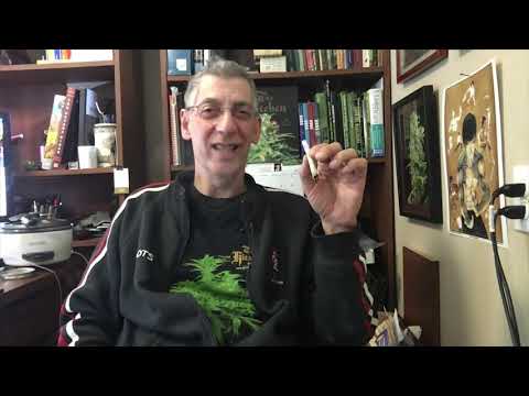 Skunk No  1 Marijuana Strain Review