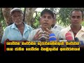 ගොවිජන|sin