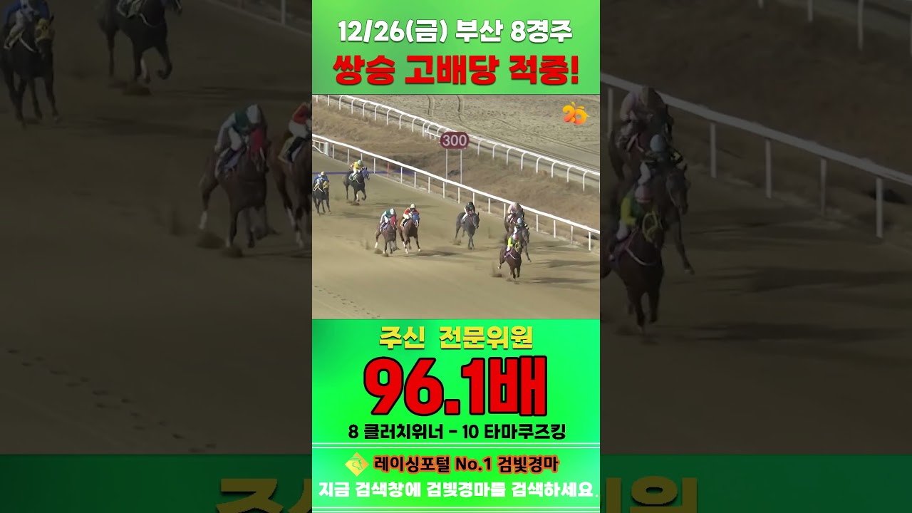 [부산 경마] 12월 26일 금요 8경주 주신 전문위원 쌍승 고배당 적중 #한국마사회 #horse #경마 #automobile #하이라이트 #비트코인