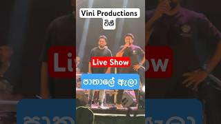 Vini Productions live show @viniproductionsofficial