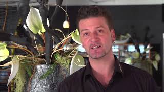 Schifflände Quinten-ganz heiss im Winter