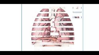 A Quick Review: Parts of The Respiratory System