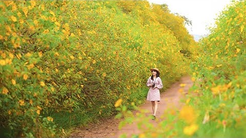 Ở Đà Lạt Mọi Thứ Đắt Đỏ... Nhưng Bình Yên Lại Rẻ Bèo