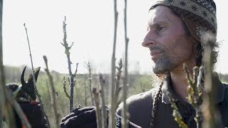 Soft fruit pruning with Raph screenshot 2