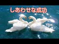 成功 自信 願望実現 サブリミナル音源 潜在意識の書き換え