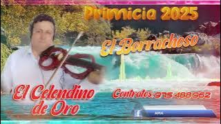 Celendino de Oro . Tema . El Borrachoso Primicias 2025