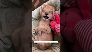 “A touching footage of adopting and loving animals #lovestory #animals #pets #cute #rescue #wildlife