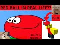 DT FC (REDBALL IRL) OSU! MANIA (**REAL!!!**)