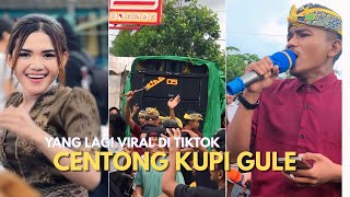 TERBARU BONEKA CANTIK CAMPUR GAUR VERSION ALBA live sikur