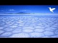 『この地球に山や森は存在しない』 （前編）