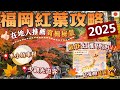 福岡紅葉絕景 | 本地人都會去這賞楓🍁 | 超多影相打卡位 | 錯過要再等一年 | 交通總整理