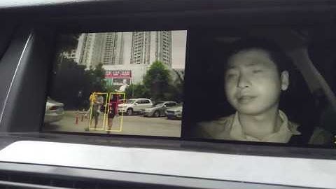 ADAS Pedestrian Detection Function