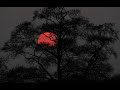 اغنية ريمكس هادئة و حزينة تعبر عن الواقع | A calm and sad remix song that expresses reality