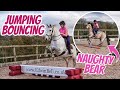 JUMPING THREE PONIES ~ Let's bounce