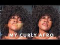 HOW I ACHIEVE MY DEFINED CURLY AFRO | NATURAL HAIR TUTORIAL | KNOTSNCURLS