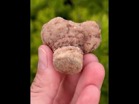 СТРОМАТОЛИТ — древний камень с энергией первичной жизни - Марокко, видео 1