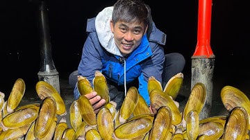 Đào Ốc Câu Mực Vùng Biên Giới Mỹ Canada