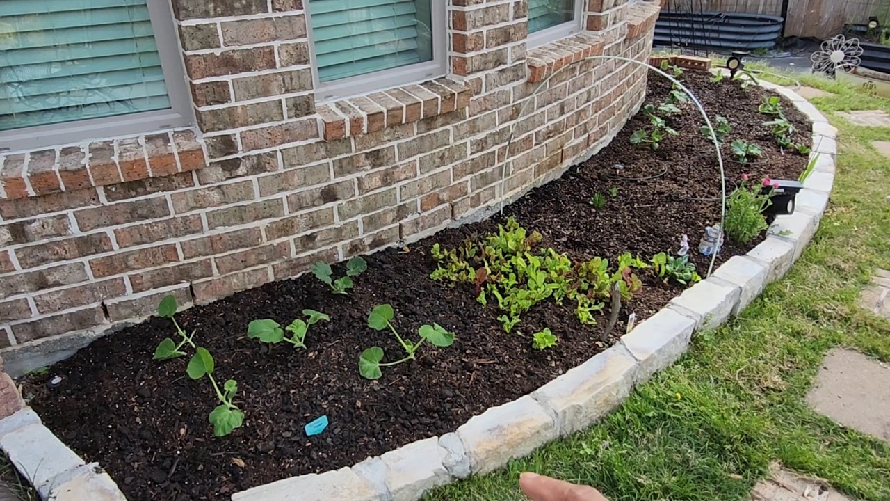 Continuing to plant out the Spring garden - YouTube