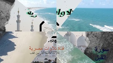 سورة الفيل لهلاك الظالم #تلاوةـ٨ـمليون