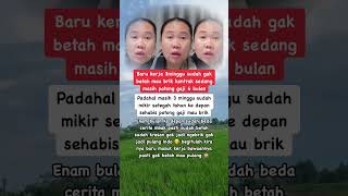 3krj Already Cant Stand It tki tkw tkwhongkong bmihk pmihk anakrantau