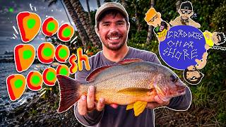 Back To Big Island Fishing
