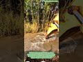Precision Excavation: Clearing Deep Silt from Forest Waterways #shorts