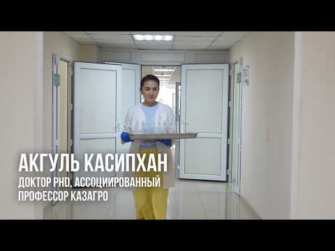 Akgul Kassipkhan | PhD, Associate Professor at KazATU