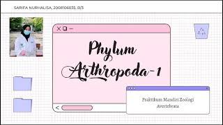 Phylum Arthropoda ke-1 (Crustacea, Myriapoda dan Arachnida)