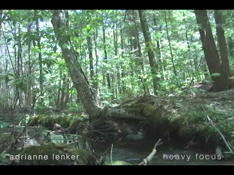 Putar heavy focus - Adrianne Lenker