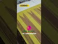 VANAKAM TO PR SILKS ll TRADITIONAL THALAMPOO COLLECTION #sarees #thirubuvanam #shorts #feed #tamil