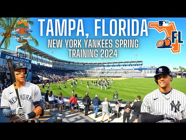 T.N 様 MLB TOUR NEW YORK WARM UP SETUP T.N 様 MLB TOUR NEW YORK WARM UP SETUP