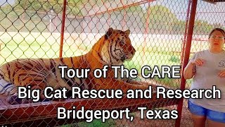 Tour of CARE - Big Cat Rescue and Research Center - Bridgeport, Texas