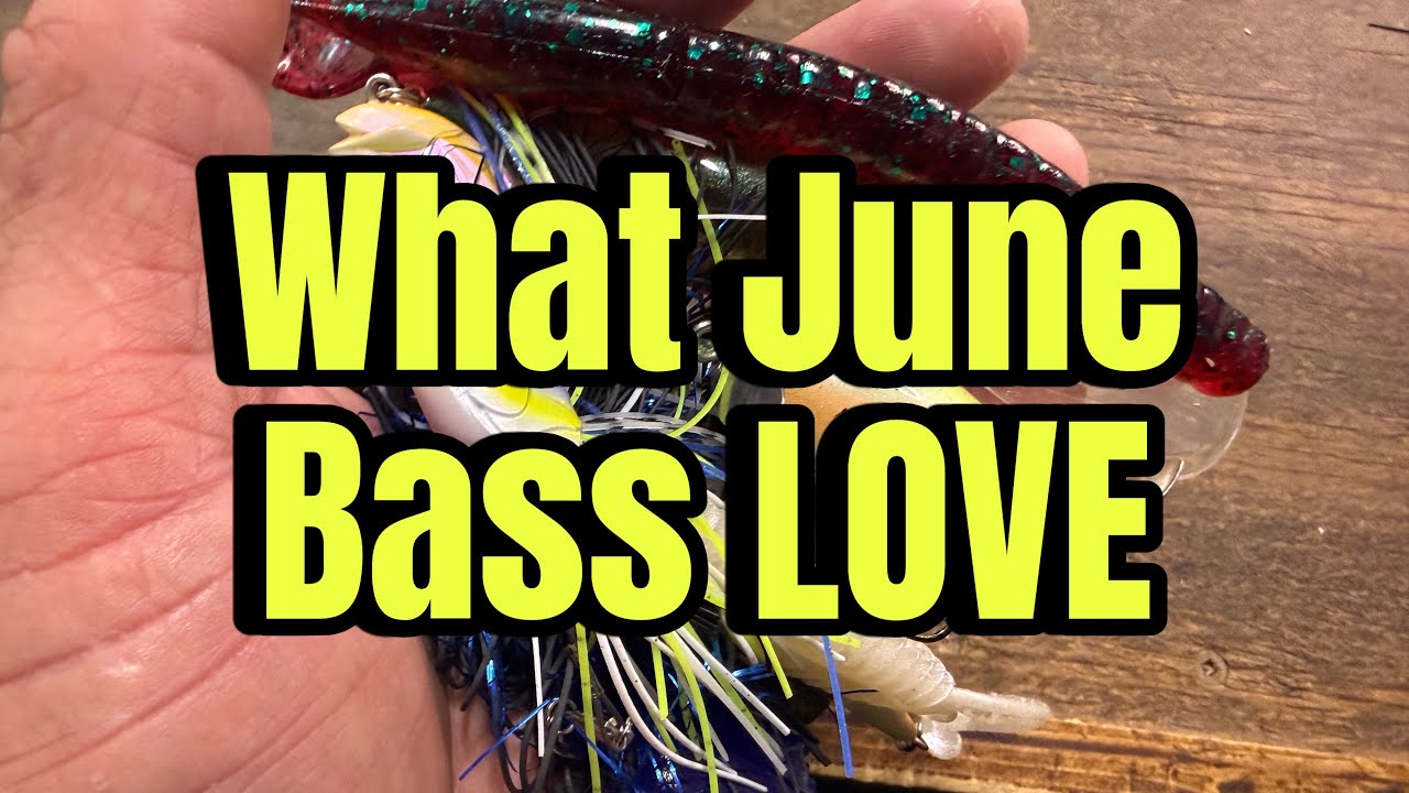 The 10 Most Underrated June Bass Fishing Lures…