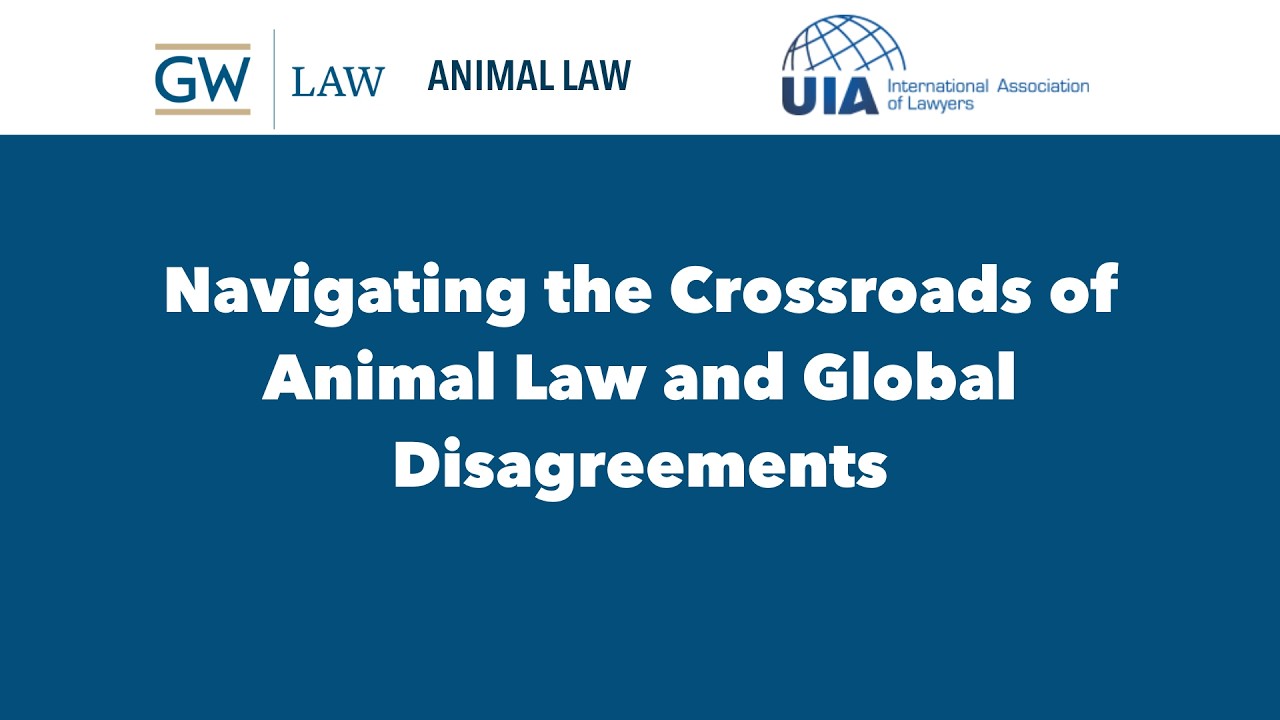 Navigating the Crossroads of Animal Law and Global Disagreements