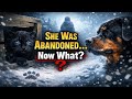 She Was Abandoned at Birth… Then a Dog Did the Unthinkable (True Story)