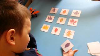 I&K Matching Shadows To The Pictures - Leaves - Visual Discrimination Activity - Busy Bags _