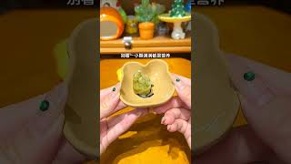 小嫩鼠们长毛了！给鼠鼠做营养月子餐啦！ #仓鼠 #金丝熊#hamster #pets #cute #food #animals