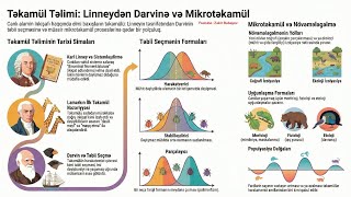 Təkamül nəzəriyyəsi. Sadə izahda. 