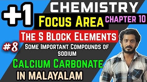 calcium carbonate Plus One Chemistry Focus Area S Block Elements Some Important Compounds Of Calcium