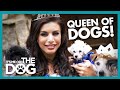America's 'Royal Family' Needs Help With Their Dogs! |  It's Me or The Dog