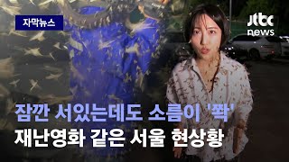 [자막뉴스] 때아닌 습격에 혼비백산…서울 점령한 '이것…