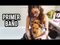 EL PRIMER BAÑO DE NALA Y KIARA