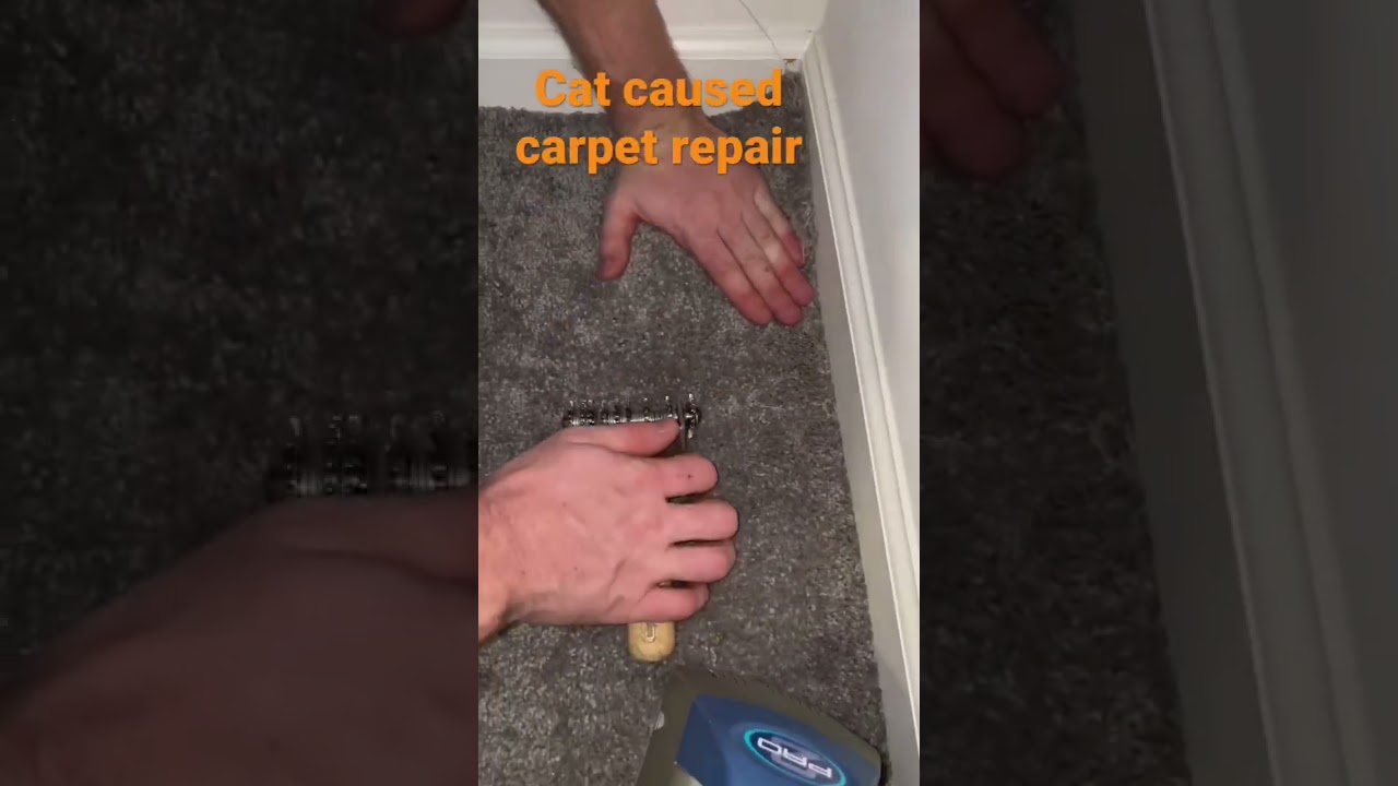 Quick carpet repair from cat clawing at corner