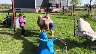 Kids and Poppy